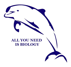 Logo blog-transparent-no.nom