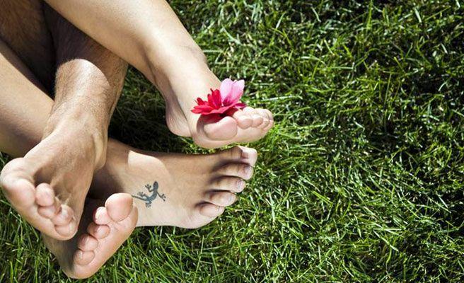 primavera_nor-672xXx80