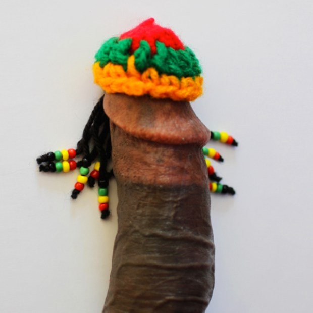 GAYLES.TV DICTURE Bumbacock