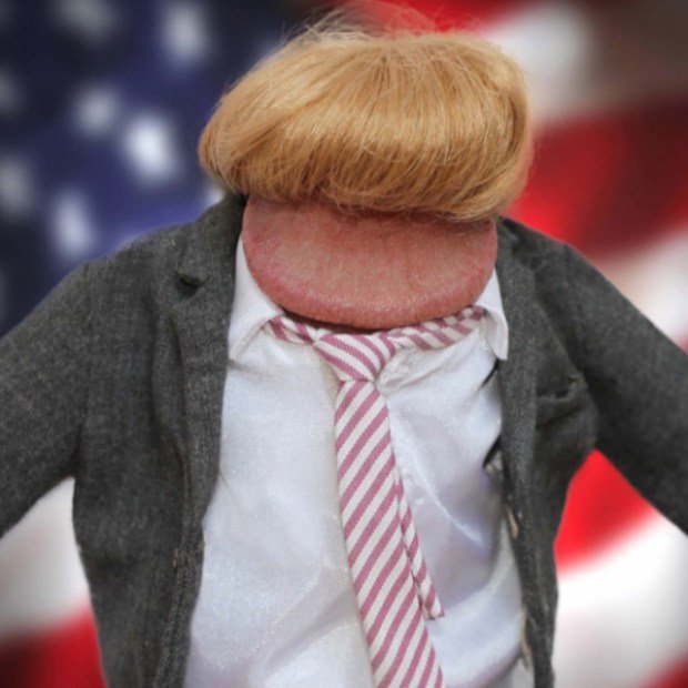 GAYLES.TV DICTURE Donald The Dick Trump