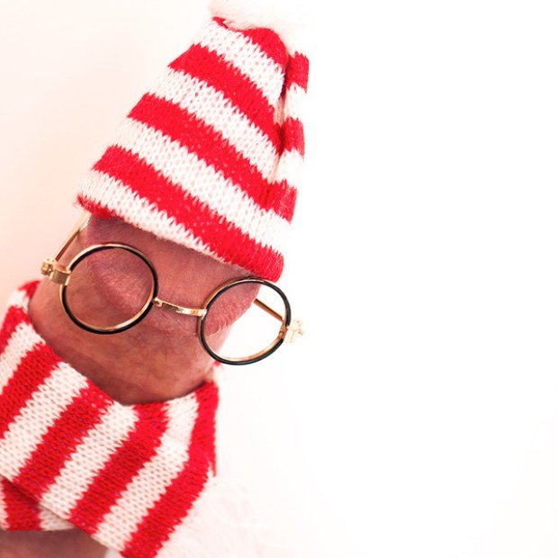 GAYLES.TV DICTURE Here Is Willy