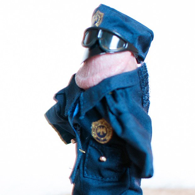 GAYLES.TV DICTURE Officer Hogster