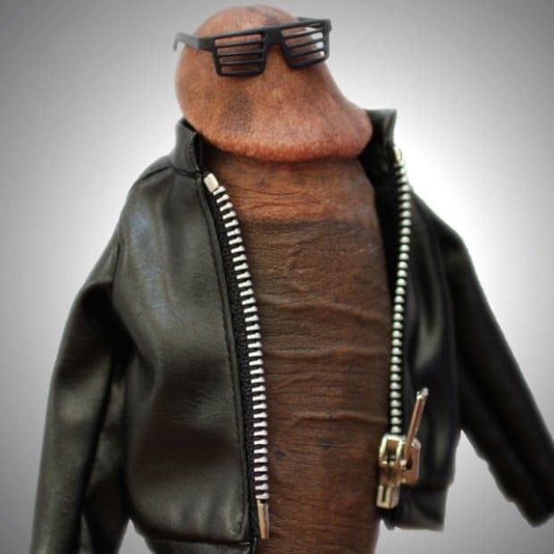 GAYLES.TV DICTURE West