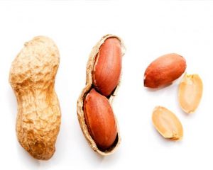 frutos-secos