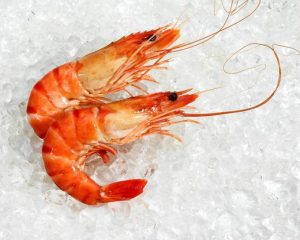 langostinos