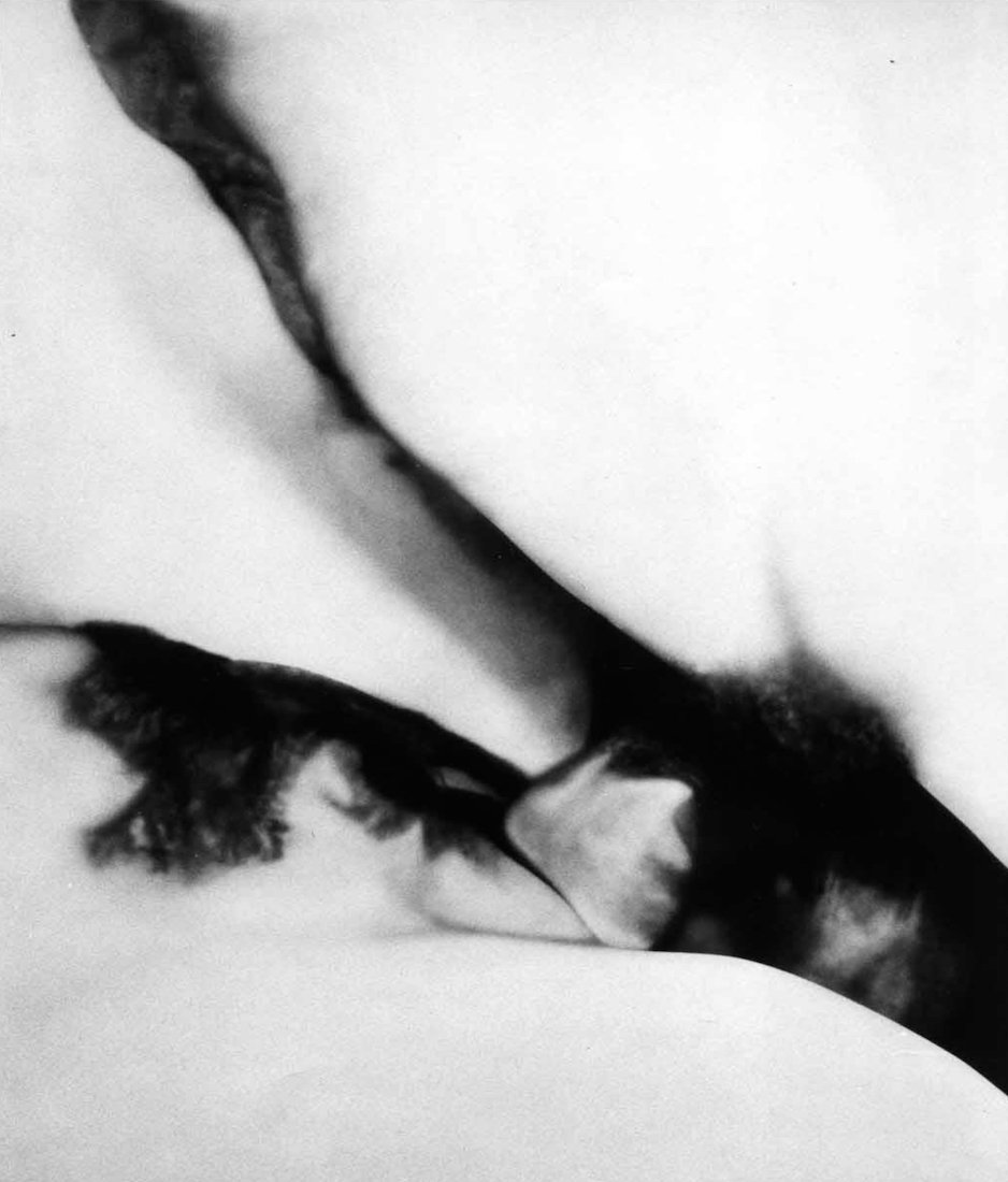 feminismo culturainquieta6