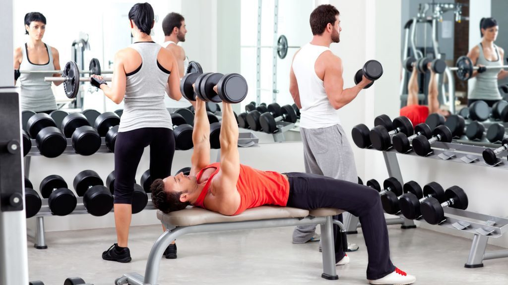 hipertrofia muscular