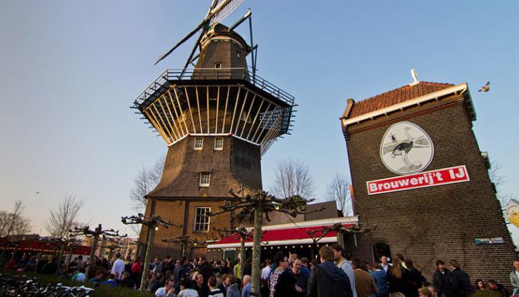 Día de la cereza Amsterdam