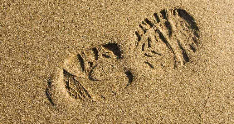 Mira por dónde pisas