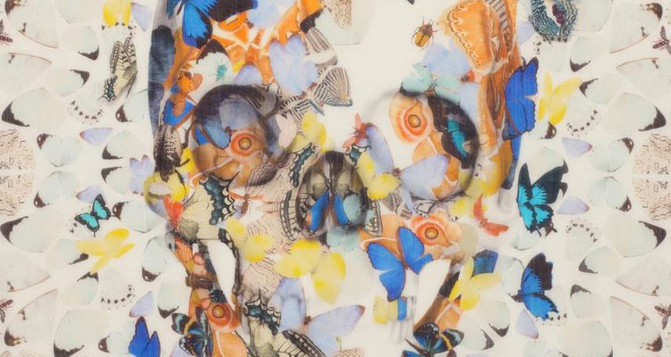 La calavera de McQueen