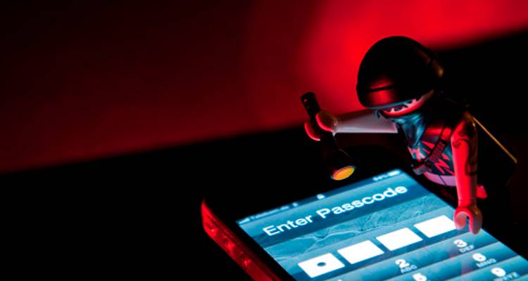 Vulnerables frente a los virus