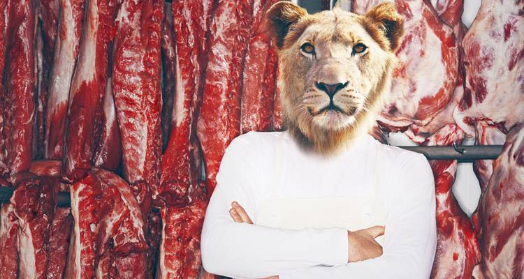 Alimentos para reducir el apetito