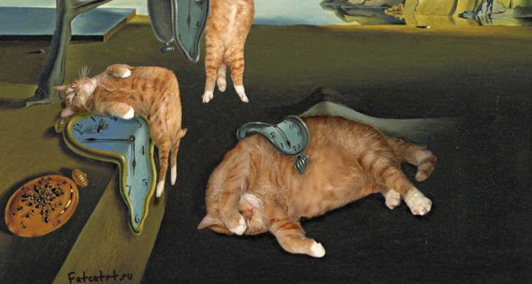 Zarathustra, el gato con la Mona Lisa