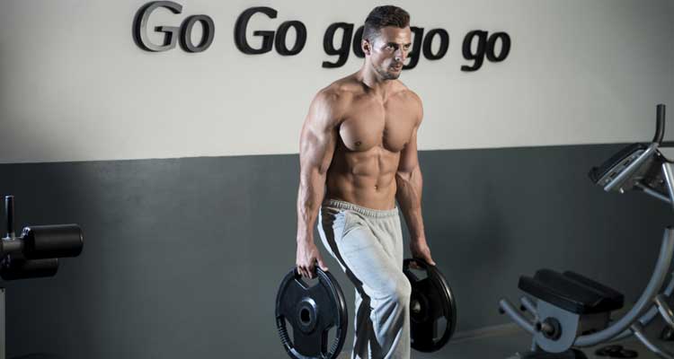 Las bases de la definición muscular