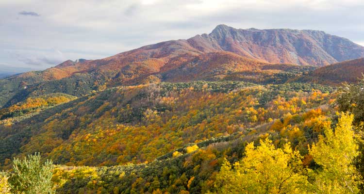 La Ruta de los tres montes (1)