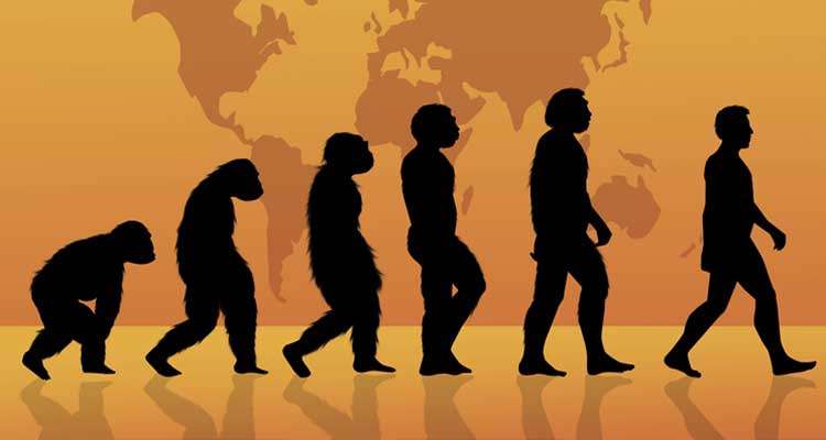 ¿De dónde venimos? Origen humano