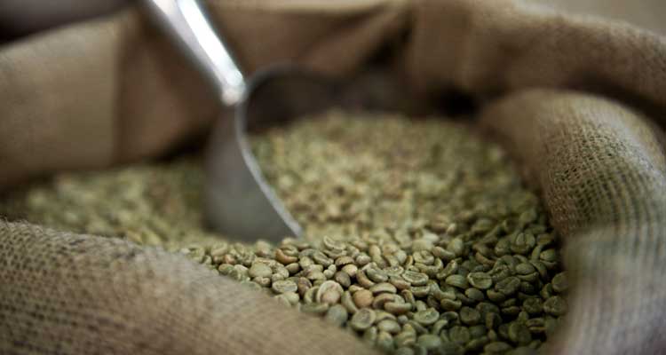 ¿Funciona el café verde para adelgazar?