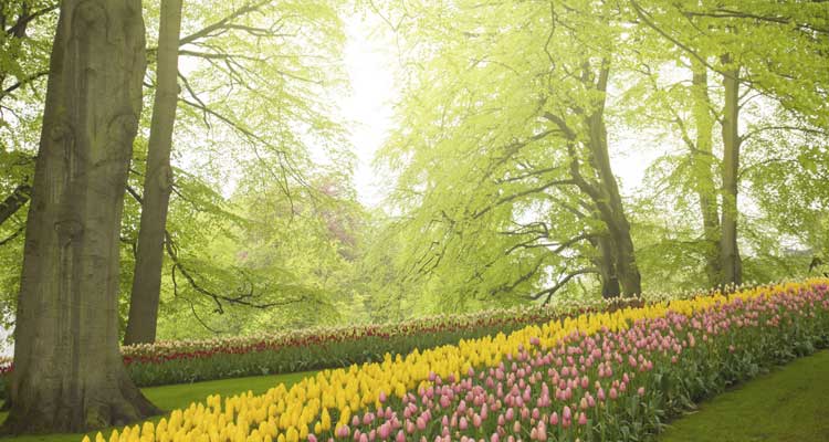 ¿Por qué cambian las estaciones?