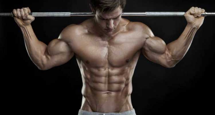 Volumen para tus músculos