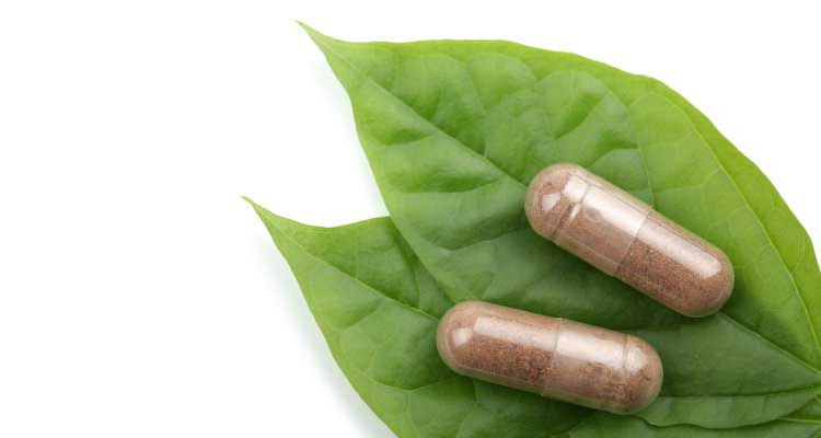 Top suplementos alimenticios saludables