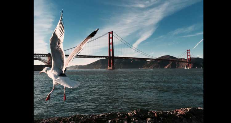 Las mejores fotos hechas con un iPhone