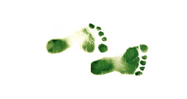 La huella ecológica: Necesitamos 1,6 planetas Tierra