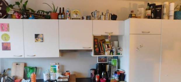 El reto imposible: ¿Dónde está el gato?