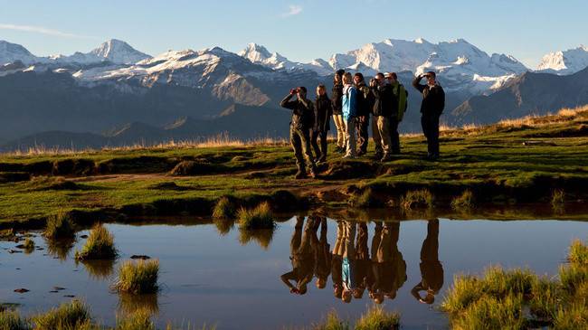 ¿Qué es la ciencia ciudadana?