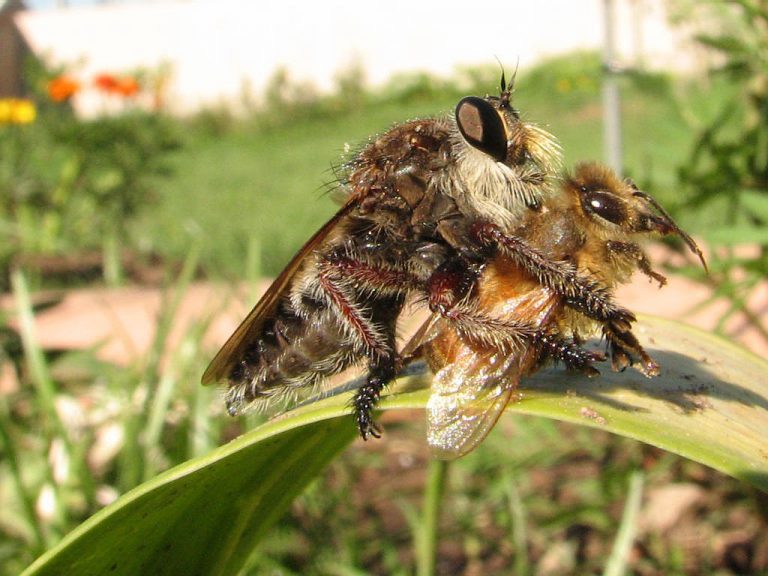 ¿Se puede ser virgen y tener hijos?