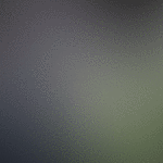 single_content_gif_v01