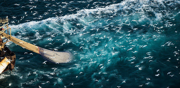 España se ha quedado sin pescado