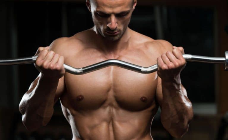 La relación entre el tipo de fibras musculares y la hipertrofia