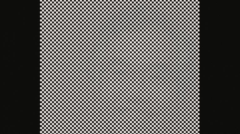 ¿Eres capaz de ver qué se esconde en esta imagen? Inténtelo otra vez