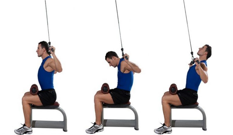 Los mejores jalones para la parte inferior del dorsal