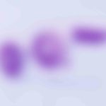 single-watermark