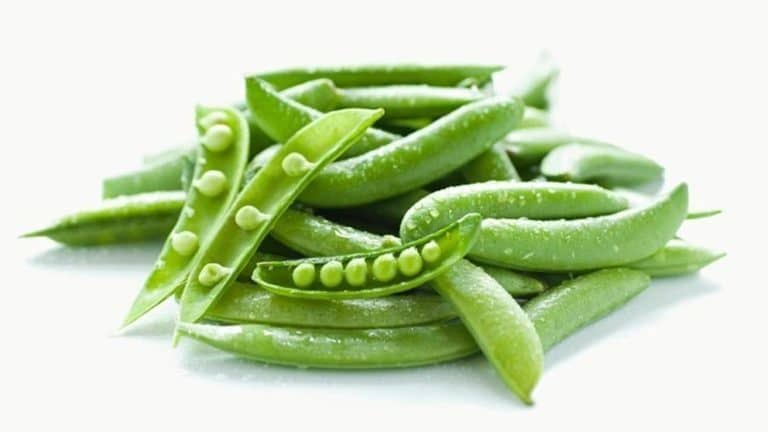 La guía definitiva de la proteína de guisante