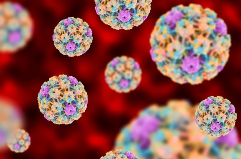 VPH: un fantasma que recorre el mundo