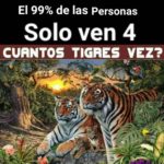 23473065_862103973950340_6977975023550701572_n