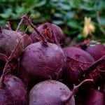 6457202681_9f4bb85984_z