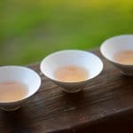 Image by PatricioHurtado from PatricioHurtado