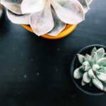 classic-magazine-thumb-13