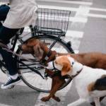 classic-magazine-thumb-14