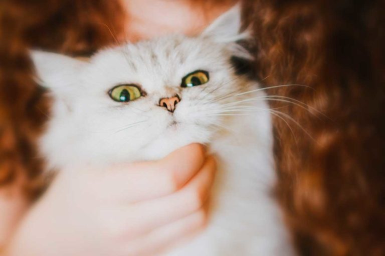 15 Cute Kids Who Will Make You Smile Every Time