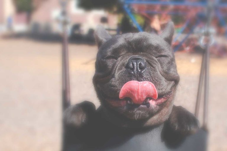 13 Perfect Responses For When Someone Doesn’t Text You Back