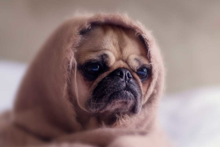 15 Creative Text Messages To Send To A Girl That’ll Win Her Over