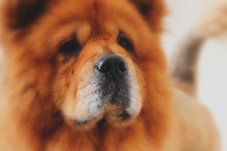 15 Totally Brain-Shattering Optical Illusions