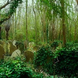 Highgate en Londres, Inglaterra