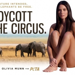 Olivia Munn