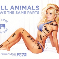 Pamela Anderson