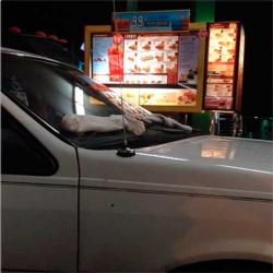 Ideas cotidianas que no se te habían ocurrido